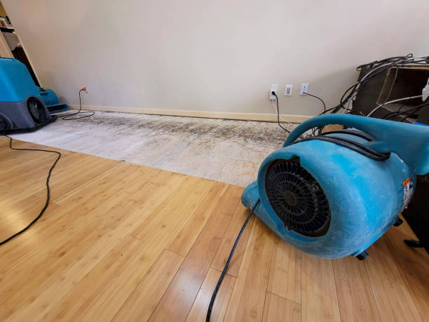 Professional Water Damage Repair technician working in Sonoma, CA